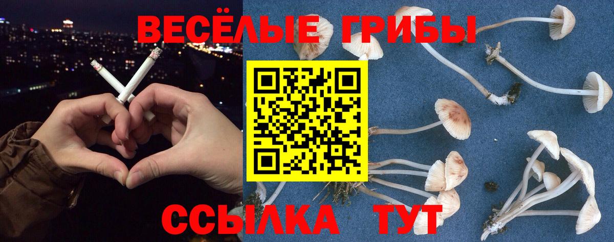 Псилоцибиновые грибы GOLDEN TEACHER Лесной
